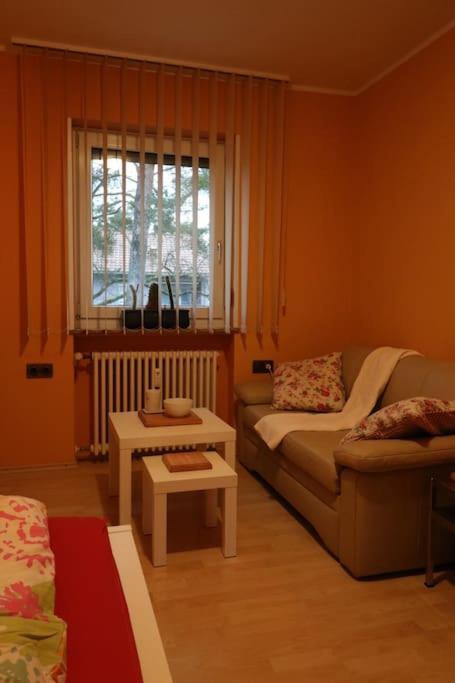 Comfortable, Peaceful Apartament
